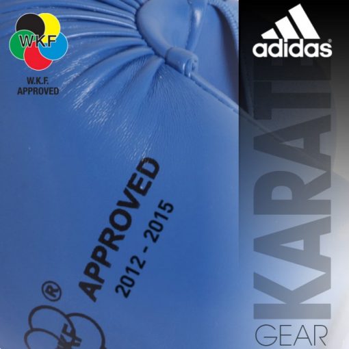 4008801-adidas-wkf-glove-blue-700×700.jpg