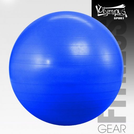 4094043-foam-fitness-ball-75cm-blue-olympus-700×700.jpg
