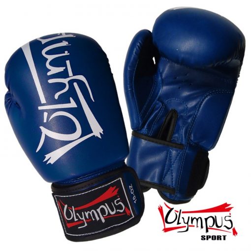 40048-boxing-gloves-olympus-pvc-training-3-blue-800×800