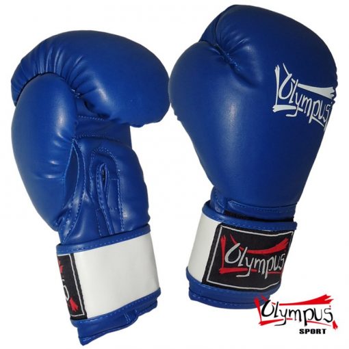 40112152-boxing-gloves-olympus-aiba-style-10oz-blue-800×800