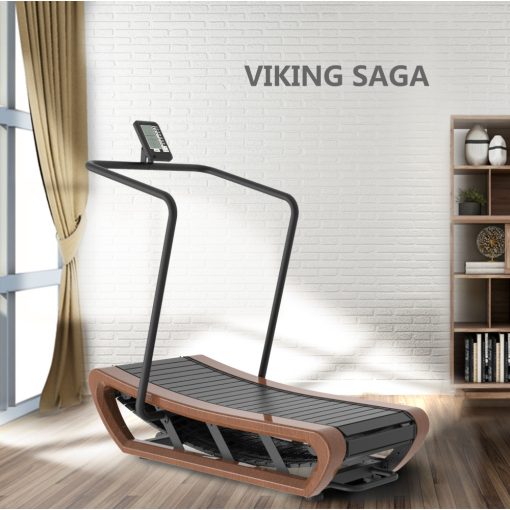 Viking-Saga3
