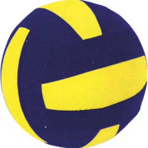 Μπάλα Βόλεϋ Neoprene