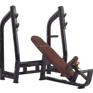 Luxury Incline Bench H-025 (VIKING)