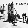 Pegasus® Pro Gym 3 Θέσεων MT-18504-ABC