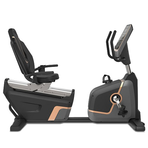 VIKING R-007 PRO BIKE ΚΑΘΙΣΤΟ ΠΟΔΗΛΑΤΟ