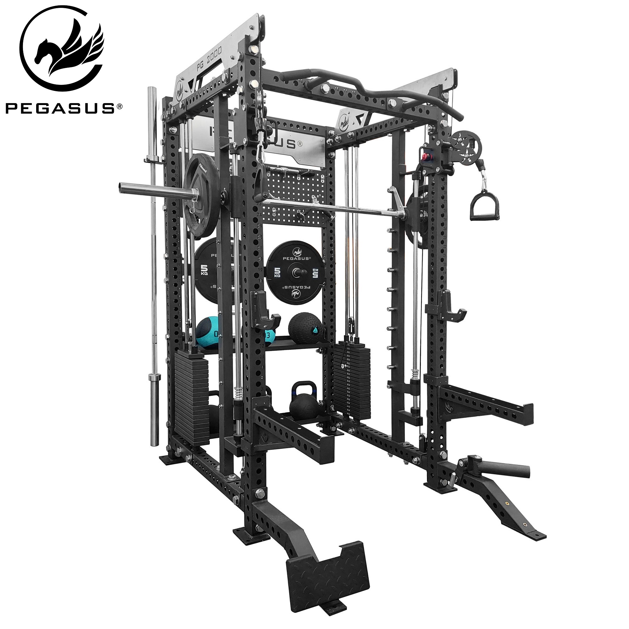 Pegasus® PG‑2000 All‑In‑One Trainer