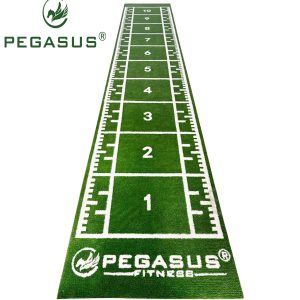 Pegasus® Συνθετικός Χλοοτάπητας 2x11m (3159)