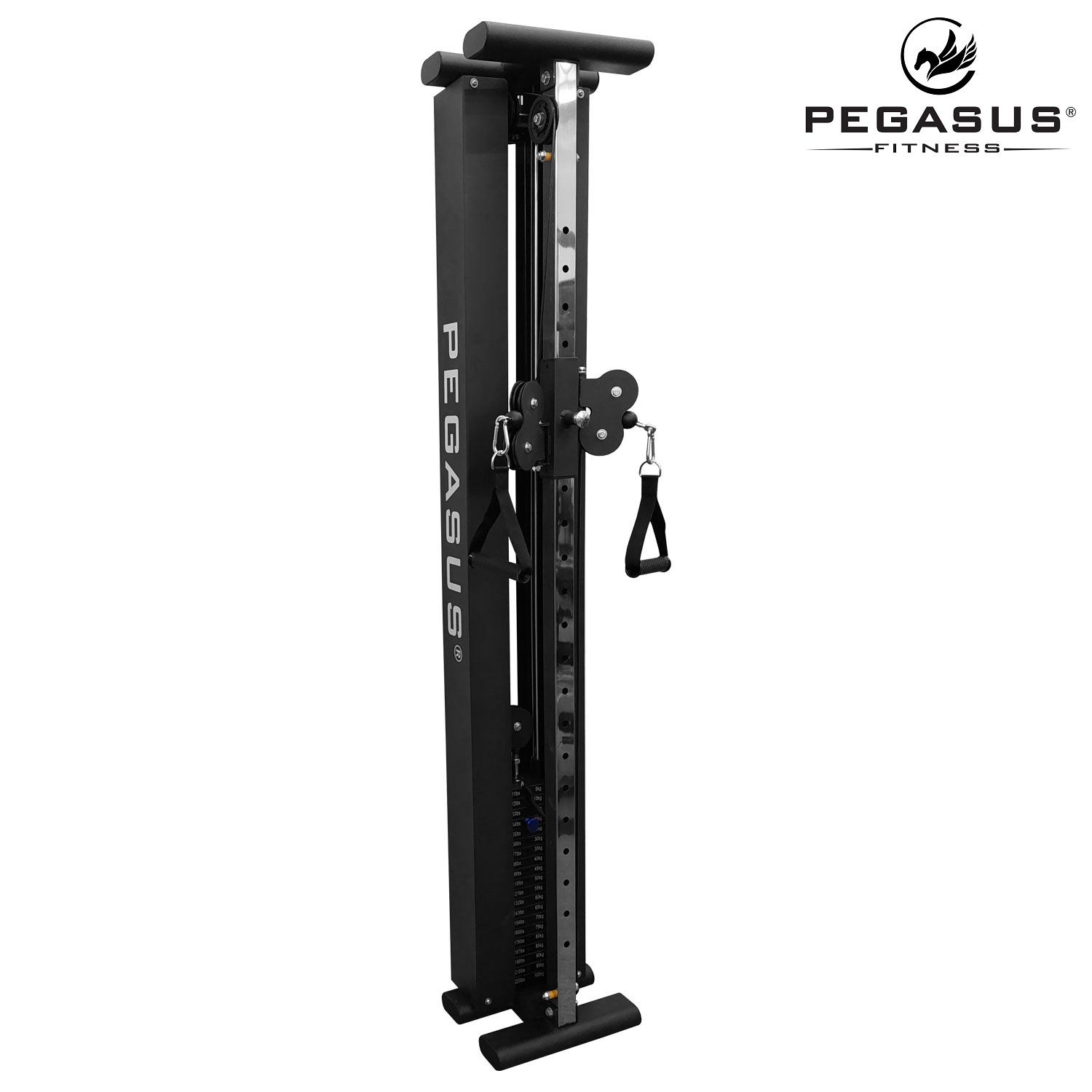 Functional Trainer Τοίχου Pegasus® T-SC01 - Image 2