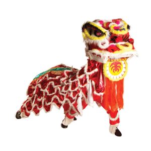 Κινέζικο Λιοντάρι Ολοκληρωμένος ΕξοπλισμόςΚινέζικο Λιοντάρι Ολοκληρωμένος Εξοπλισμός