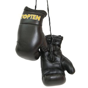 Μίνι Πυγμαχικά Γάντια TOP TENΜίνι Πυγμαχικά Γάντια TOP TEN