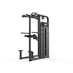 Viking Selectorized 2009 Dip / Chin Assist, Υποβοηθούμενο Μονόζυγο και Δίζυγο